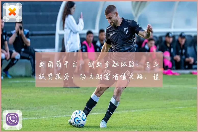 新葡萄平台，创新金融体验，专业投资服务，助力财富增值之路，值得信赖