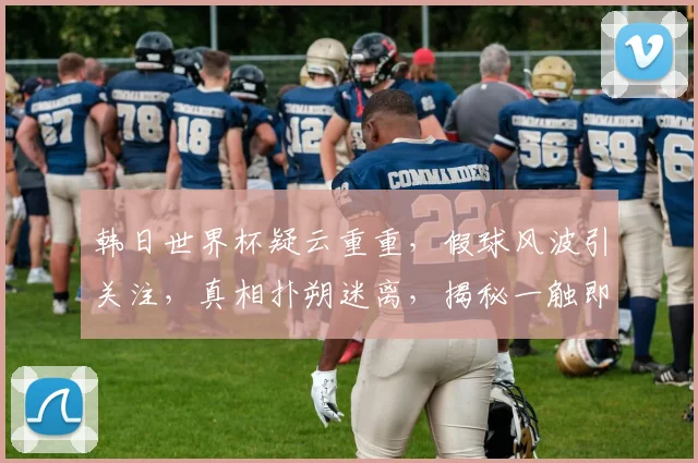 韩日世界杯疑云重重，假球风波引关注，真相扑朔迷离，揭秘一触即发